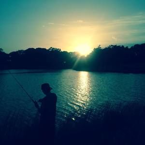 Meet your Posher, William